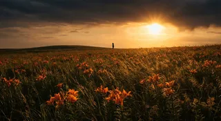 "Stop Worrying" — The Command You're Definitely Disobeying Right Now